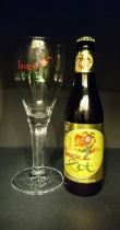 Copa Brugse Zot - Mundo de Cervezas