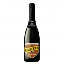 Kasteel Donker